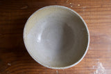 Speckle Bowl (Sample)